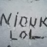 niouk niouk's profile picture