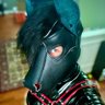 Profilbild von Service Pony @ FWA