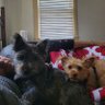 Profilbild von Martin Adams
