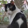 Фото профиля LoRitaCat