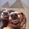 RyGuy's profile picture