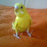 El Crítico's profile picture