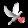 Фото профиля LovethePeace ❤️🕊❤️