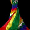 Profilbild von Bolivia Libre