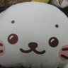 ボクチン's profile picture