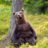 Martintxu's profile picture