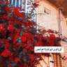 ابو حسن 的头像