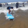 Aboujad 的头像