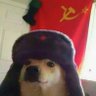 El Perro de Stalin's profile picture