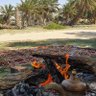 Фото профиля يوسف الربيع
