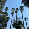 Nativeinsocal profil fotoğrafı