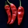 Tre peperoncini profil fotoğrafı