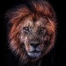 LeGend™'s profile picture