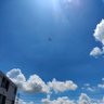 Miracle 24❤🐇🦁👑🕊️ profil fotoğrafı
