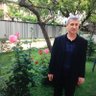 Profilbild von Mustafa Orakçı