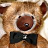 ハコニシ's profile picture