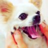 あき's profile picture