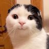 å§å¡é·'s profile picture