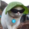 Telken's profile picture