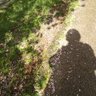 橋本広文 profil fotoğrafı