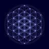 Profilbild von BitcoinMusic