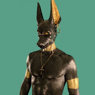 Humanimal's profile picture