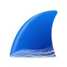Wireshark Foundation's profile picture