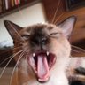 Monralin™ profil fotoğrafı