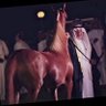 Фото профиля علي
