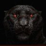 47F12€D°'s profile picture