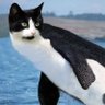 Derry profil fotoğrafı