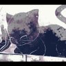 yuuD🐧🎴🥞💫 🗝️♣️ 💔⛓️ 👻🥤🐁 ⚜️♟ 🫖🐾🤍💪🍎 的头像