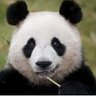Jean-Luc Rupp's profile picture