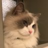 林 譲治 profil fotoğrafı
