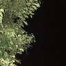 ABUZER profil fotoğrafı