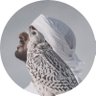 شيخه 的头像