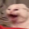 Фото профиля .