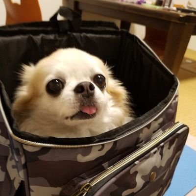 kocyamatu's profile picture