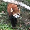 新井 熊 的头像