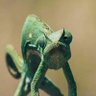 zrzrzr79 zrzrz profil fotoğrafı