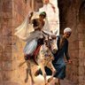 Profilbild von بسمه