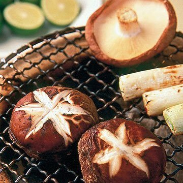 焼き椎茸's profile picture