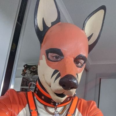 Rubber Pet 🦊's profile picture