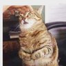 Profilbild von Sam Sqanch