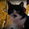 Che''s profile picture