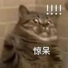 花小栗 profil fotoğrafı