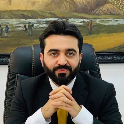 HaroonHakimi1's profile picture