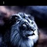 bar bar's profile picture