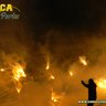 LA BOMBONERA NO TIEMBLA,LATE's profile picture