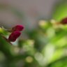 Фото профиля airo etsu
